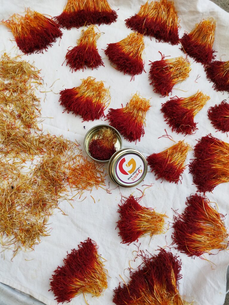 خشک کردن سنتی زعفران