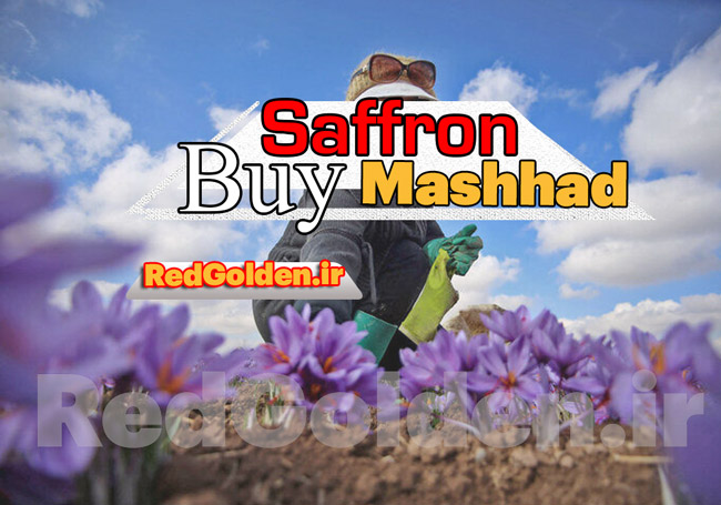 Buy Mashhad Saffron