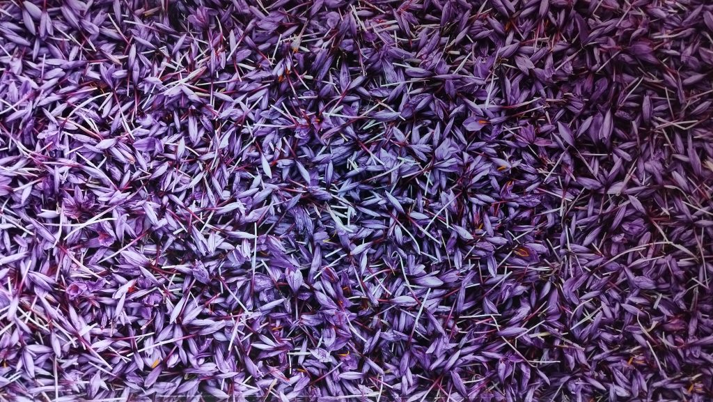 قطب تولید زعفران 